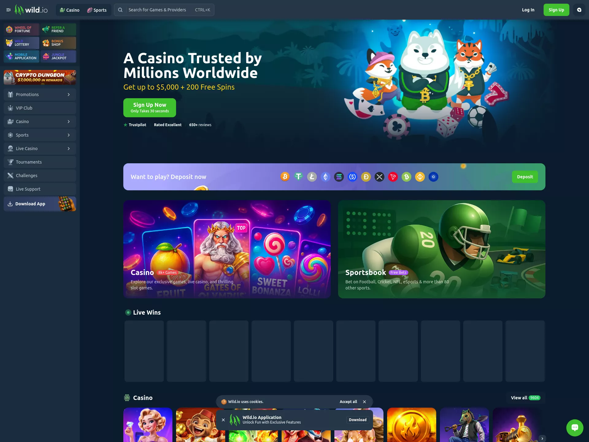 Desktop screen. Wild.io Casino Get $20