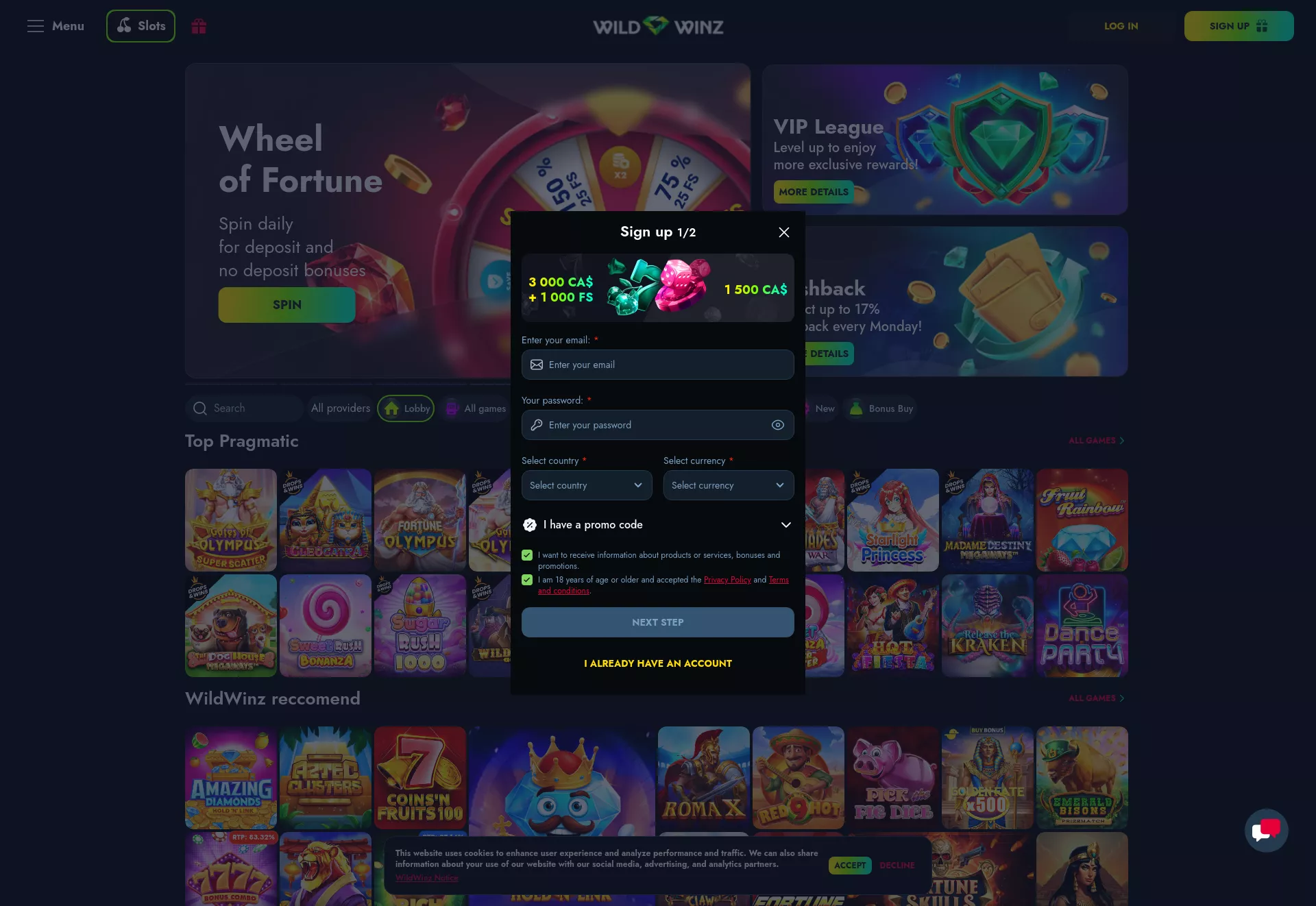 Desktop screen. WildWinz Up to $3000 + 1000 FS